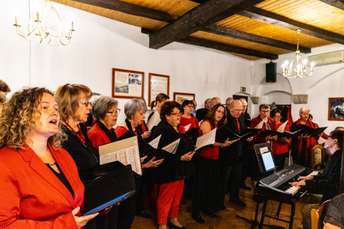 DSC08934 Kopie 2025 Besuch aus Troisdorf - 30 Jahre Heidenau Lwowek slaski