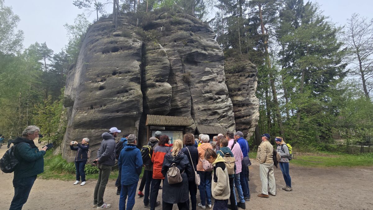 20260517_102448 Adrspach