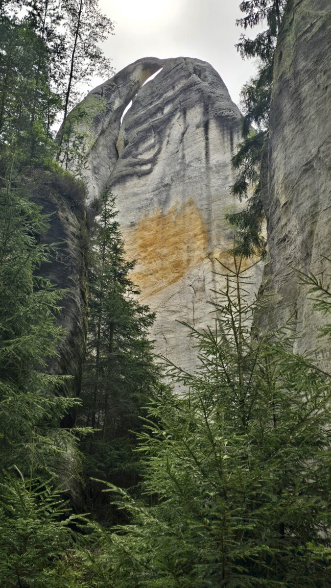 20260517_104505 Adrspach