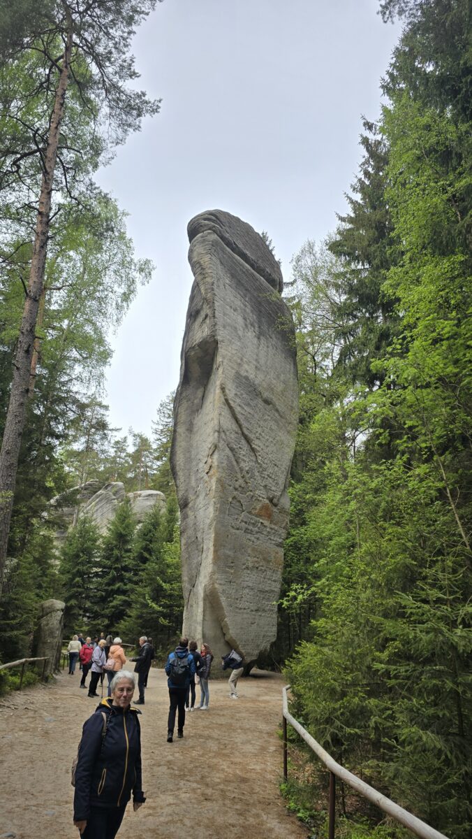 20260517_105614 Adrspach