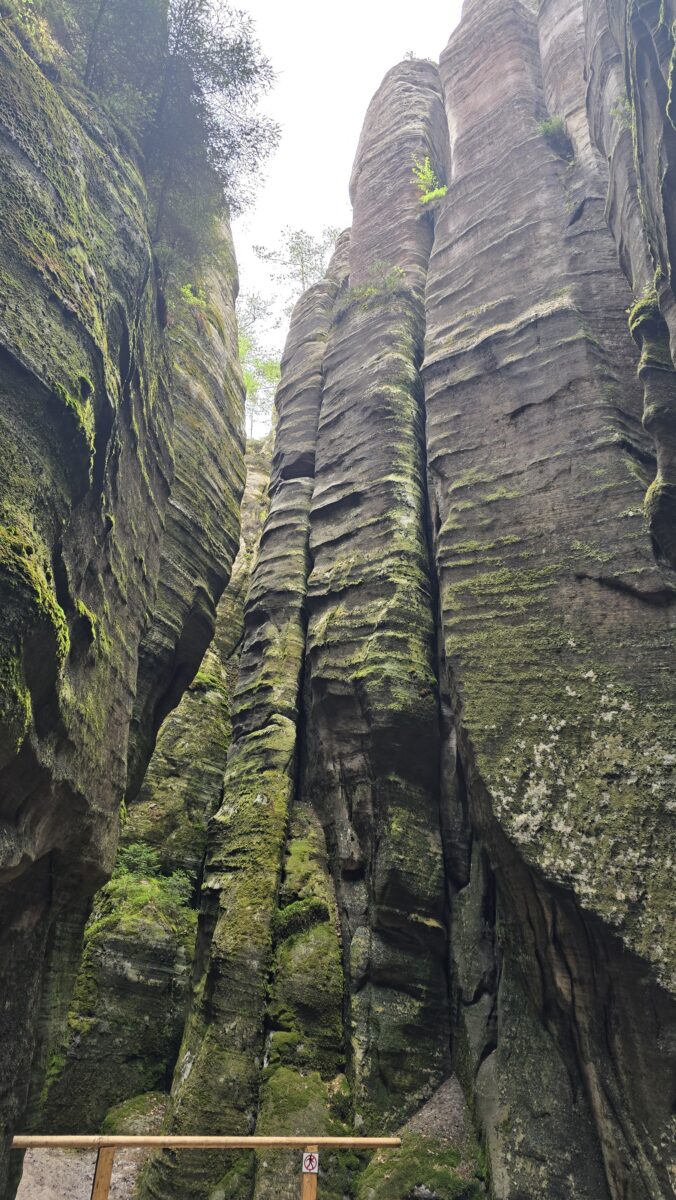 20260517_112318 Adrspach