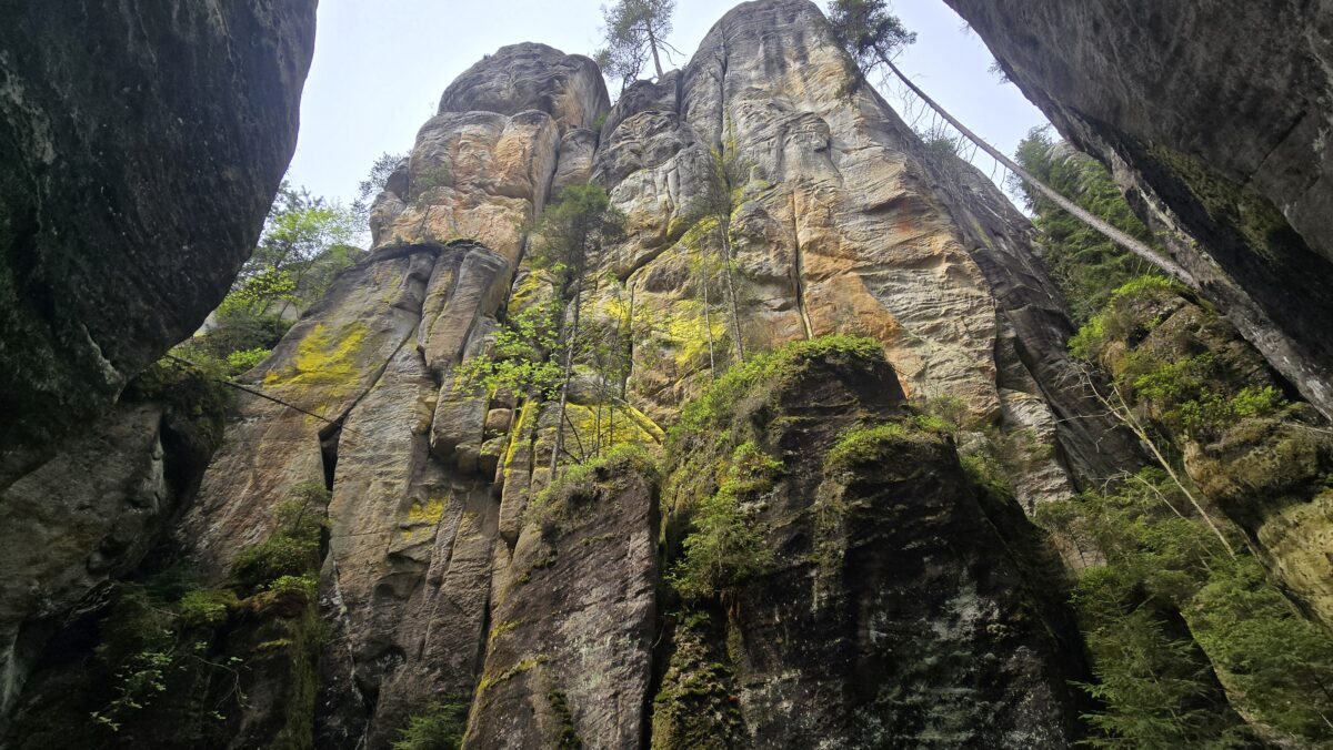 20260517_113502 Adrspach